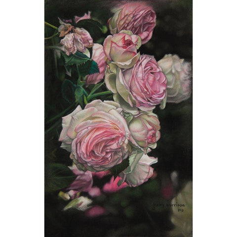 Roses from Pat Black Modern Wood Framed Art Print by Harrison, Lesley