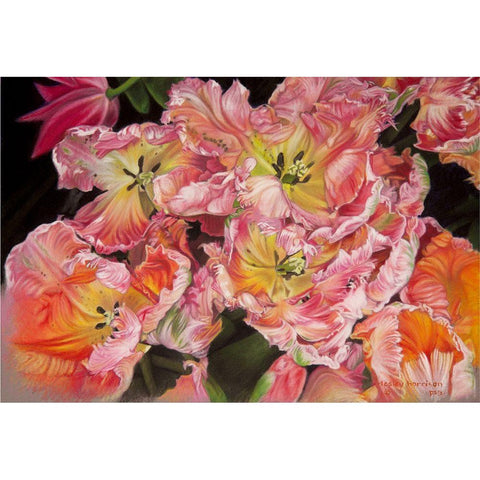 Tulips Black Modern Wood Framed Art Print by Harrison, Lesley