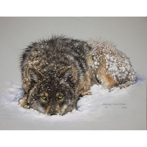 Lone Wolf Gold Ornate Wood Framed Art Print with Double Matting by Harrison, Lesley