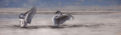 Dance of the Swans White Modern Wood Framed Art Print with Double Matting by Harrison, Lesley