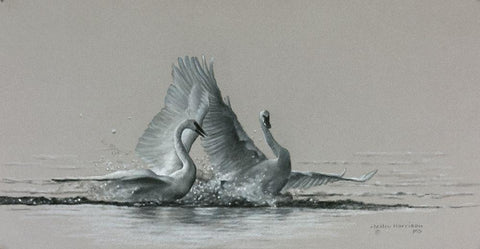 Feathered Dance White Modern Wood Framed Art Print with Double Matting by Harrison, Lesley