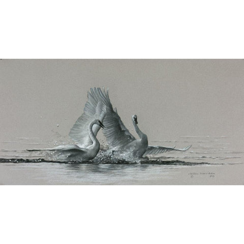 Feathered Dance White Modern Wood Framed Art Print by Harrison, Lesley