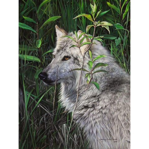 One Wet Wolf White Modern Wood Framed Art Print by Harrison, Lesley