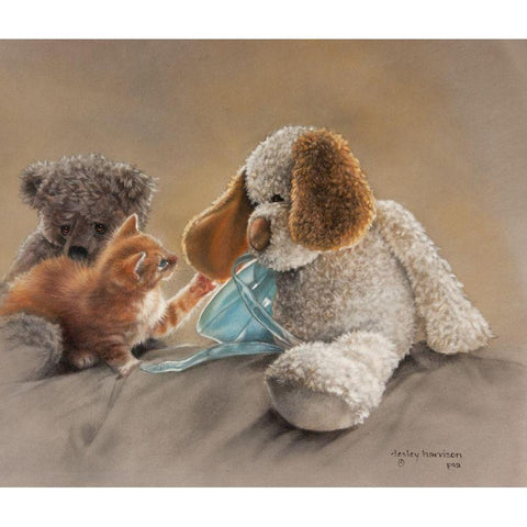 Blessed are the Curious Black Modern Wood Framed Art Print with Double Matting by Harrison, Lesley