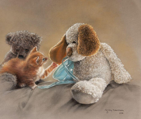 Blessed are the Curious White Modern Wood Framed Art Print with Double Matting by Harrison, Lesley