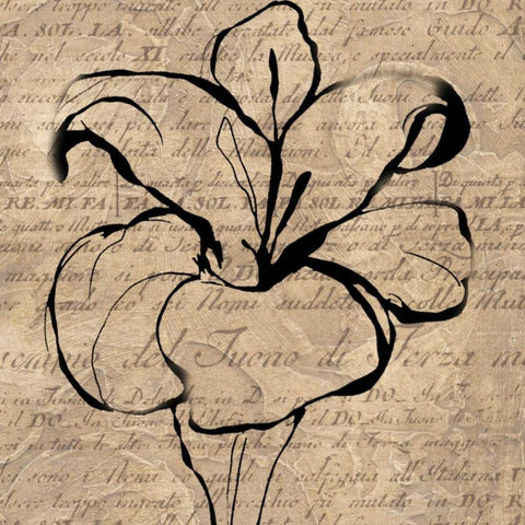 Tulip Thoughts Black Modern Wood Framed Art Print by Wolk, Lisa