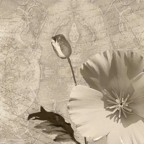 Vintage Rose I Gold Ornate Wood Framed Art Print with Double Matting by Wolk, Lisa