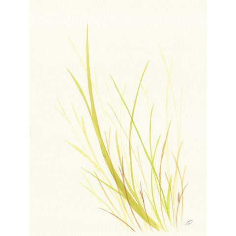 Wild Grass White Modern Wood Framed Art Print by Lee, Judson