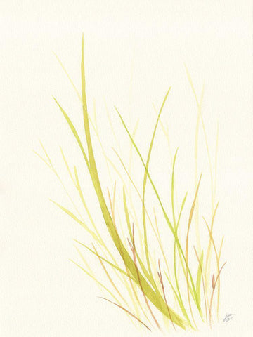 Wild Grass White Modern Wood Framed Art Print with Double Matting by Lee, Judson