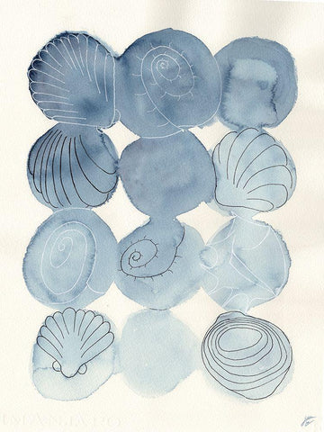 Indigo Shells Black Ornate Wood Framed Art Print with Double Matting by Lee, Judson