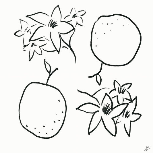 Image Only