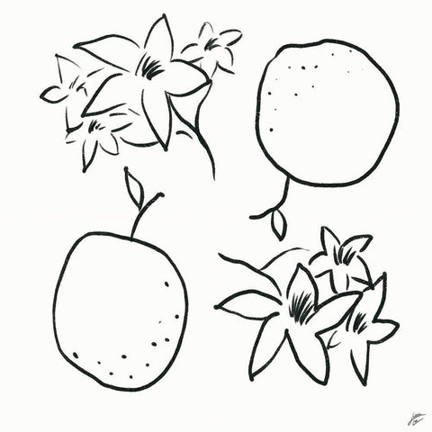 Orange and Blossoms Black Ornate Wood Framed Art Print with Double Matting by Lee, Judson