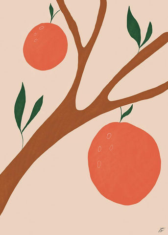 Orange Tree II White Modern Wood Framed Art Print with Double Matting by Lee, Judson