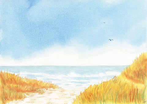 Blue Birds Beach White Modern Wood Framed Art Print with Double Matting by Lee, Judson