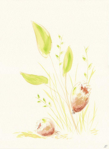 Grass and Bulbs White Modern Wood Framed Art Print with Double Matting by Lee, Judson