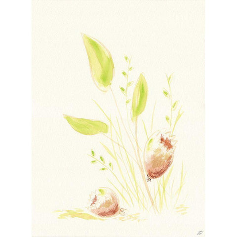 Grass and Bulbs Black Modern Wood Framed Art Print by Lee, Judson
