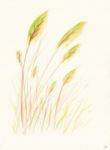 Leaf Grass Black Ornate Wood Framed Art Print with Double Matting by Lee, Judson