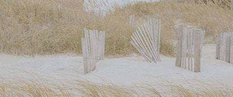 Soft Beach Dune White Modern Wood Framed Art Print with Double Matting by Lee, Judson