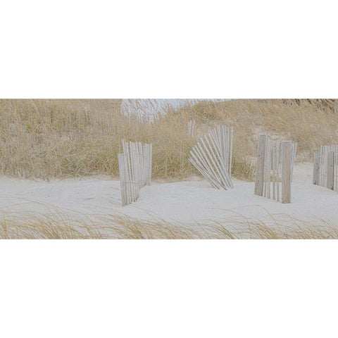 Soft Beach Dune Black Modern Wood Framed Art Print by Lee, Judson
