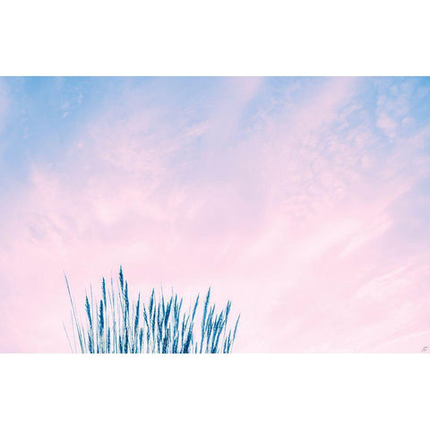 Millennial Pink Sea Grass Black Modern Wood Framed Art Print by Lee, Judson