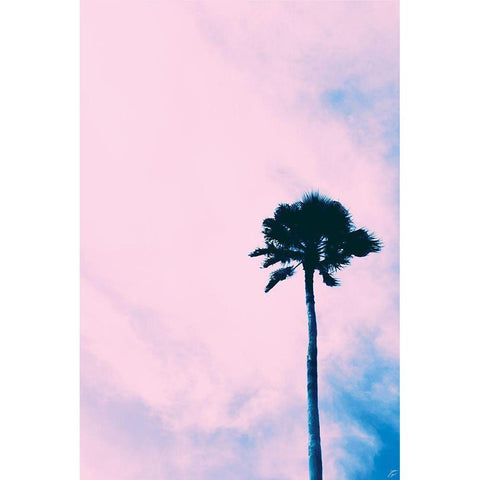 Millennial Pink Palm Black Modern Wood Framed Art Print with Double Matting by Lee, Judson