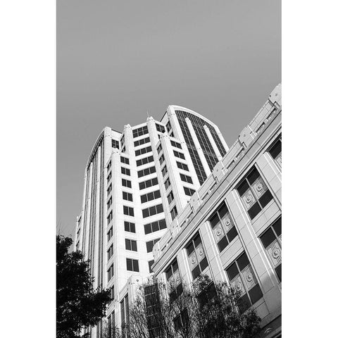 Look Tall Black Modern Wood Framed Art Print with Double Matting by Lee, Judson