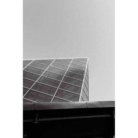 Look Tall II Black Modern Wood Framed Art Print with Double Matting by Lee, Judson