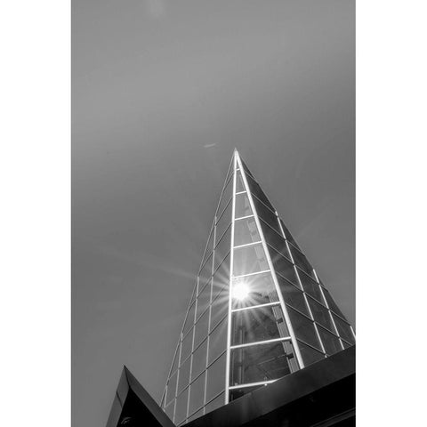 Look Tall III Black Modern Wood Framed Art Print with Double Matting by Lee, Judson