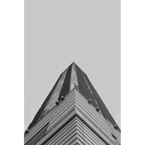 Look Tall IV Black Modern Wood Framed Art Print with Double Matting by Lee, Judson