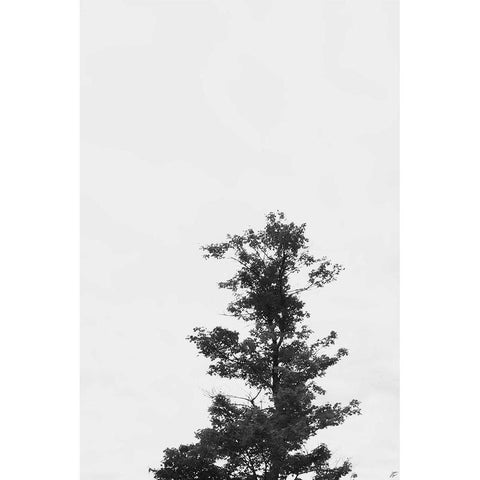 Solo Tower White Modern Wood Framed Art Print by Lee, Judson