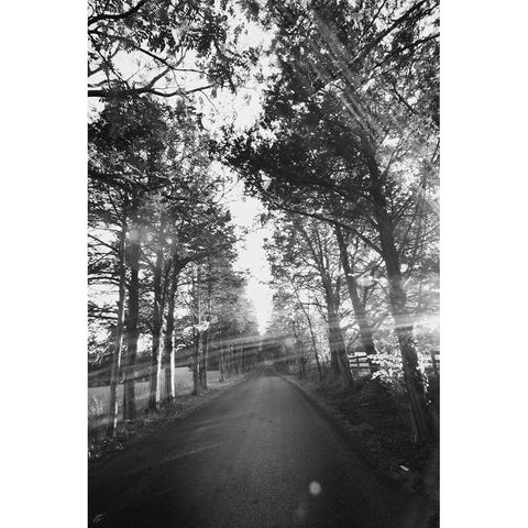 Country Road Gold Ornate Wood Framed Art Print with Double Matting by Lee, Judson