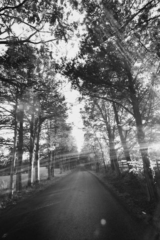 Country Road White Modern Wood Framed Art Print with Double Matting by Lee, Judson