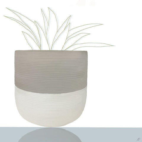 Potted Plant White Modern Wood Framed Art Print with Double Matting by Lee, Judson