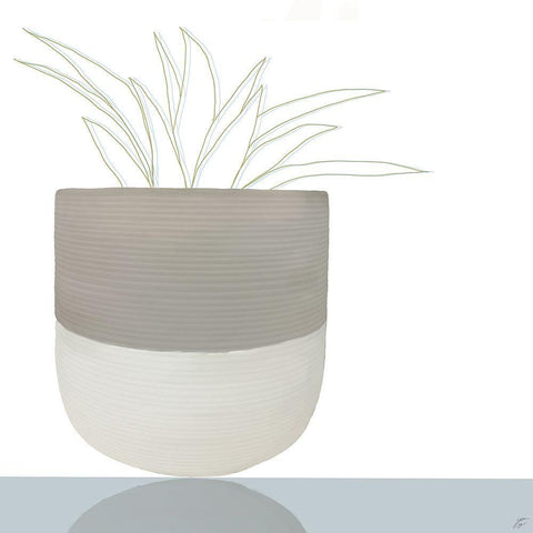 Potted Plant Black Modern Wood Framed Art Print with Double Matting by Lee, Judson