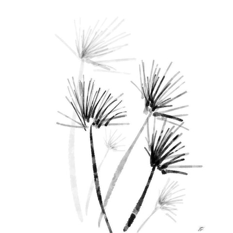 Palm Twigs Black Modern Wood Framed Art Print with Double Matting by Lee, Judson