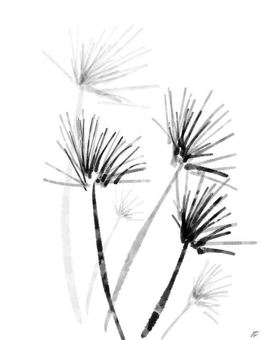 Palm Twigs White Modern Wood Framed Art Print with Double Matting by Lee, Judson