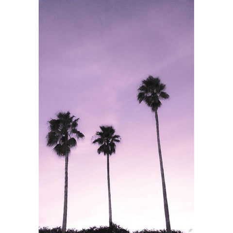 Palms Black Modern Wood Framed Art Print with Double Matting by Lee, Judson