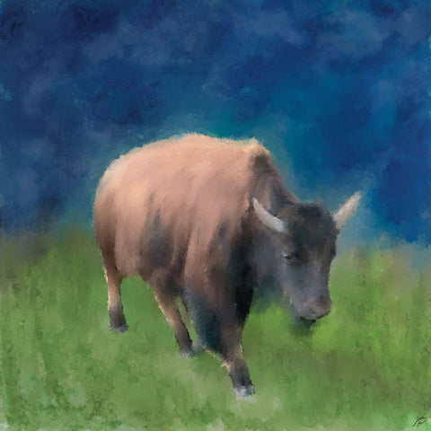 Buffalo Walk White Modern Wood Framed Art Print by Lee, Judson