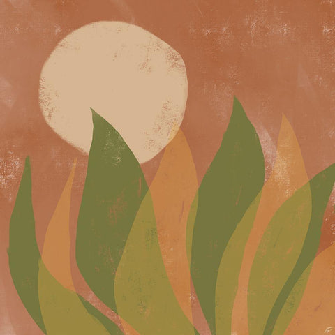 Aloe and Sun II Black Modern Wood Framed Art Print with Double Matting by Lee, Judson