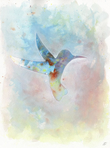 Hummingbird White Modern Wood Framed Art Print with Double Matting by Lee, Judson