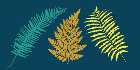 Ferns Black Ornate Wood Framed Art Print with Double Matting by Designs, Longfellow