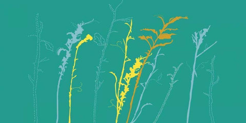 Field Black Ornate Wood Framed Art Print with Double Matting by Designs, Longfellow