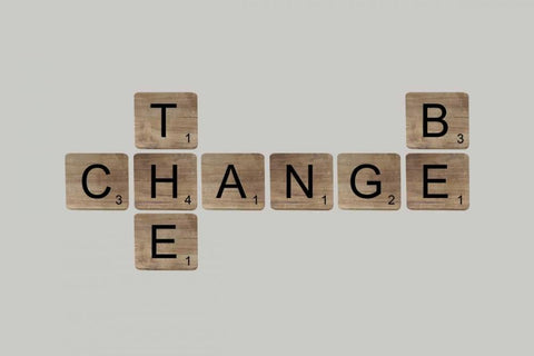 Be the Change II White Modern Wood Framed Art Print with Double Matting by Longfellow Designs