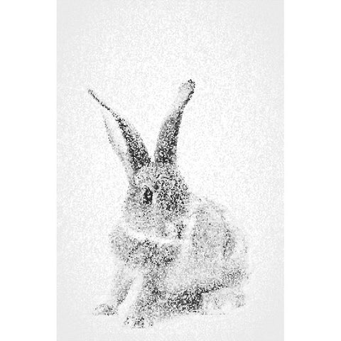 White Bunny I White Modern Wood Framed Art Print by Fay, Mela