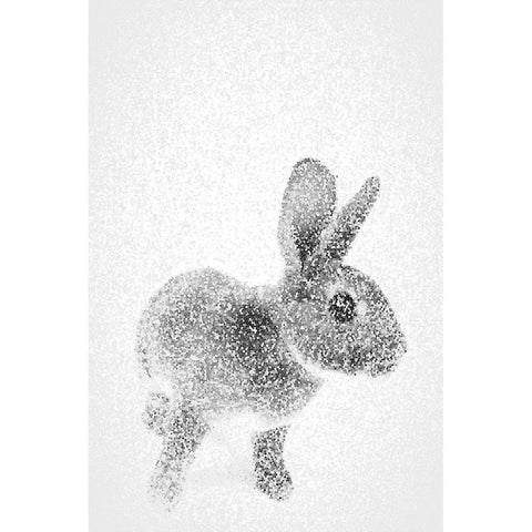 White Bunny II Black Modern Wood Framed Art Print by Fay, Mela