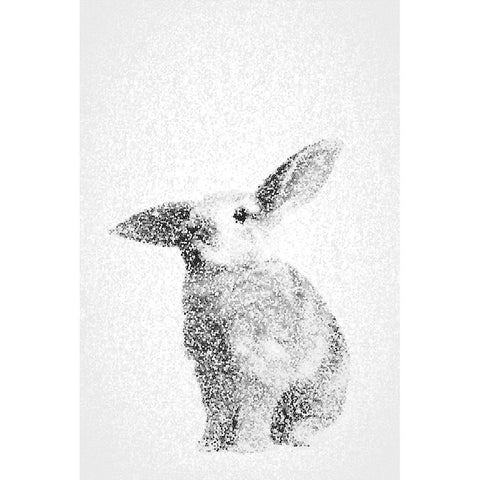 White Bunny III Black Modern Wood Framed Art Print with Double Matting by Fay, Mela