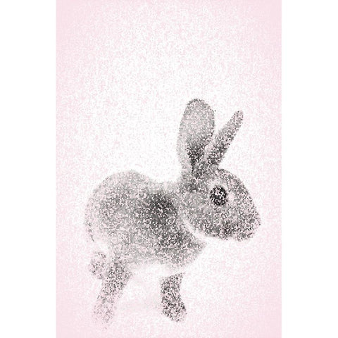 Pink Bunny II Black Modern Wood Framed Art Print with Double Matting by Fay, Mela