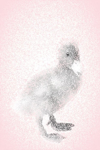 Pink Duckling I White Modern Wood Framed Art Print with Double Matting by Fay, Mela