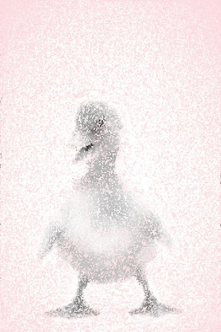 Pink Duckling II White Modern Wood Framed Art Print with Double Matting by Fay, Mela