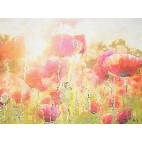 Poppy I Black Modern Wood Framed Art Print with Double Matting by Fay, Mela